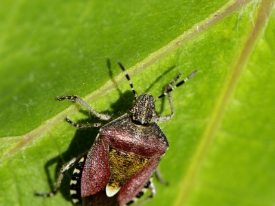 JA8A7886 copy