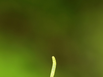 U09A6889