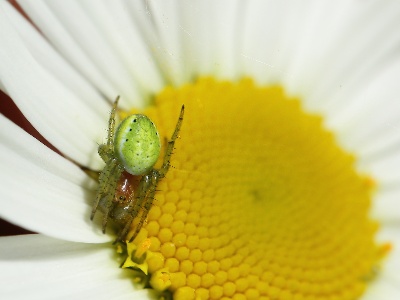 U09A7158 copy 2
