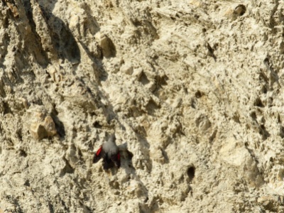 JA8A3924 copy