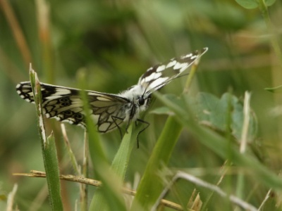 JA8A4796 copy