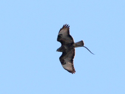 JA8A8332 copy