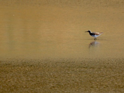 U09A7452 copy