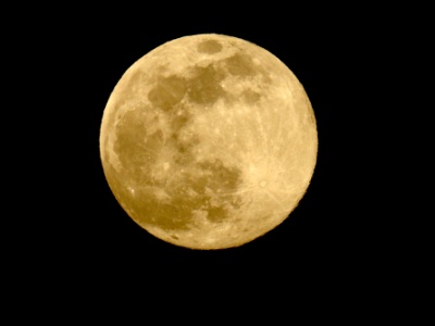 JA8A3548 copy