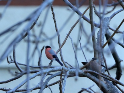 February