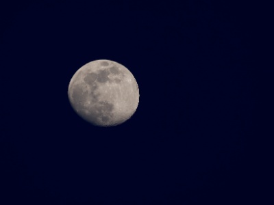328A7114 copy