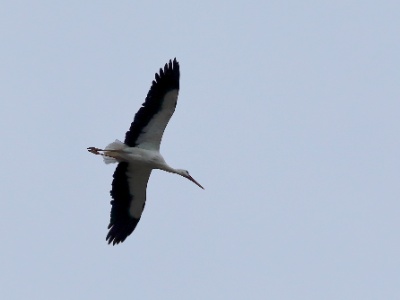 328A7590 copy