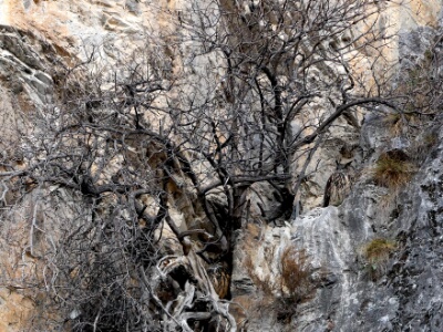 0S4A0869 copy