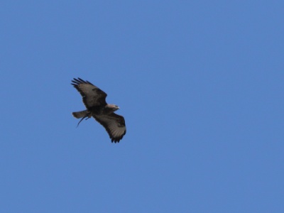 JA8A8307 copy