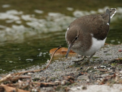 IMG 2876Crop