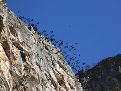 IMG 7165