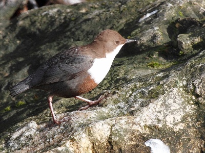 IMG 1947Crop