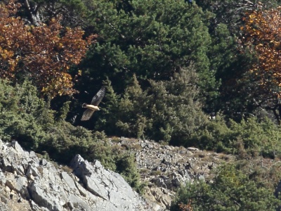 U09A0800