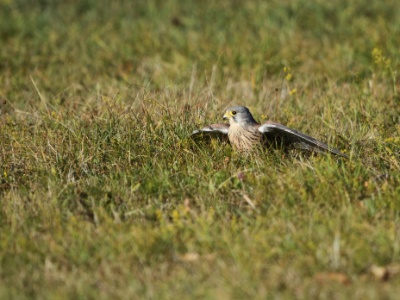 JA8A6188 copy
