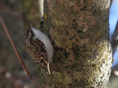 IMG 8872Crop