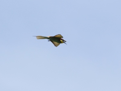 JA8A5084 copy 2