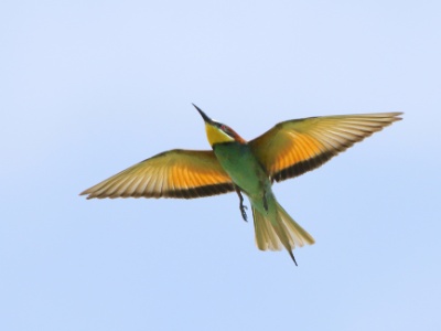 JA8A5102 copy 2