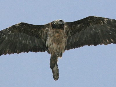 2008mar23