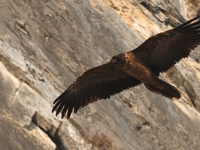 IMG 2381Crop