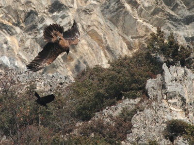 IMG 2429Crop
