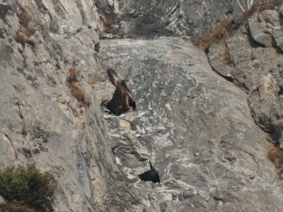IMG 2434Crop