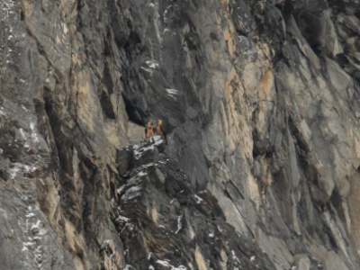 IMG 5357Crop