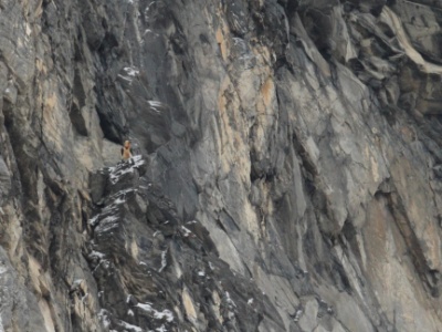 IMG 5361Crop