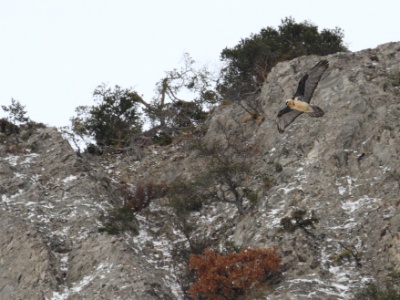IMG 5430Crop