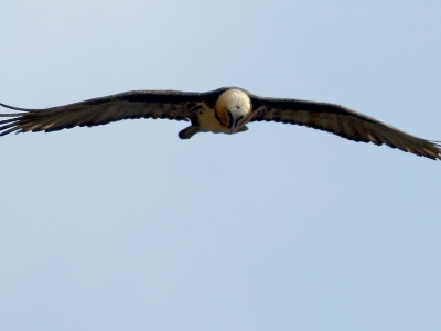 U09A6467 copy