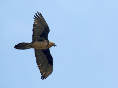 U09A6468 copy