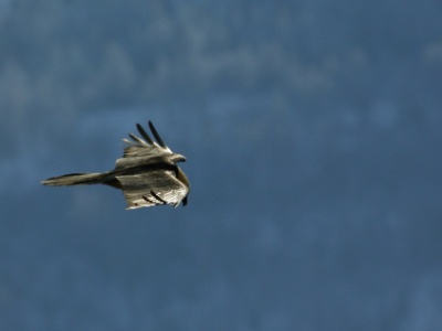 U09A6472 copy