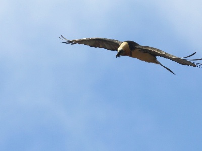 U09A6507 copy
