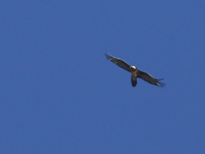 2014sep14