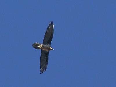 U09A9561 copy