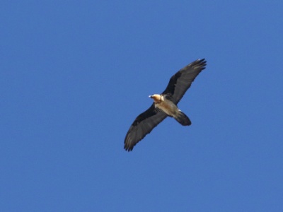 JA8A9973 copy