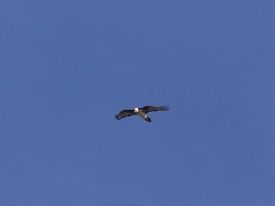 U09A3745 copy