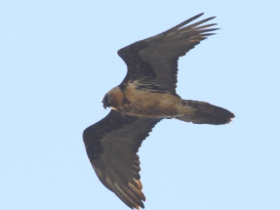 JA8A2771 copy