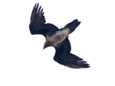 U09A4551 copy