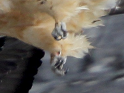 U09A4564 copy 2