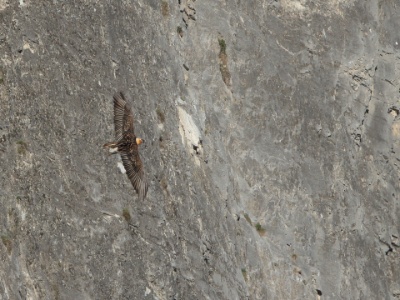 JA8A7996 copy
