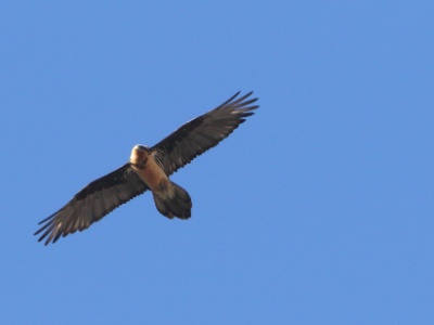 JA8A8049 copy