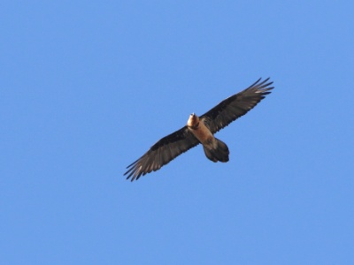 JA8A8050 copy