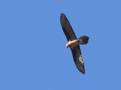 JA8A8053 copy