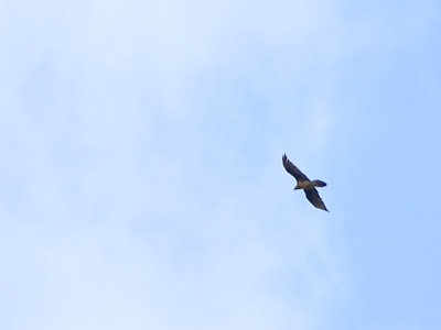 2019may12