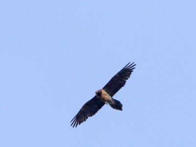 JA8A3627 copy