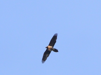 JA8A3628 copy