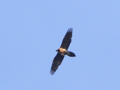 JA8A3629 copy
