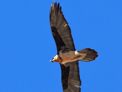 U09A2325 crop