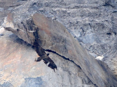 JA8A3224 copy