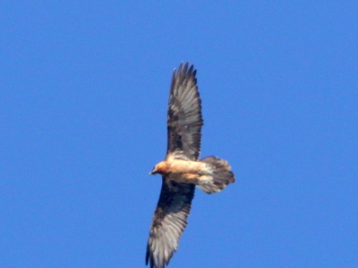 JA8A3291 copy